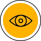 our vision